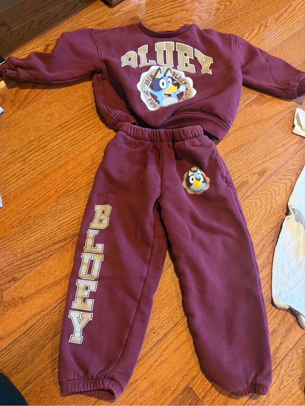 Baby Gap bluey sweatpants set  top is size 5T and bottom size 4T
